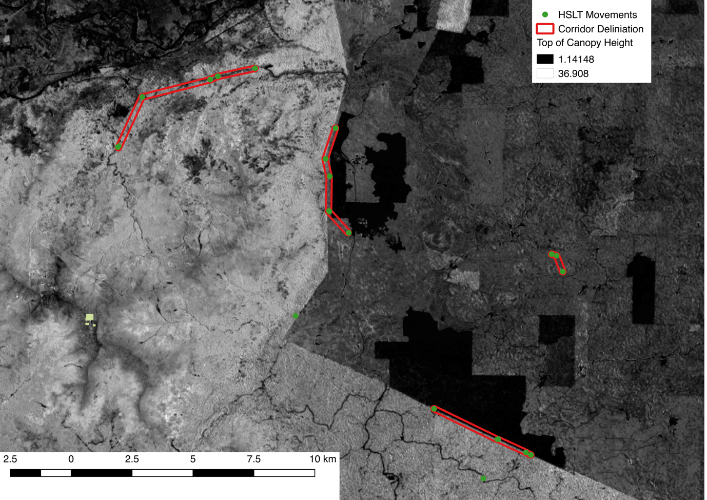 LiDAR canopy height model showing elephant movement corridors in Sabah, Borneo
